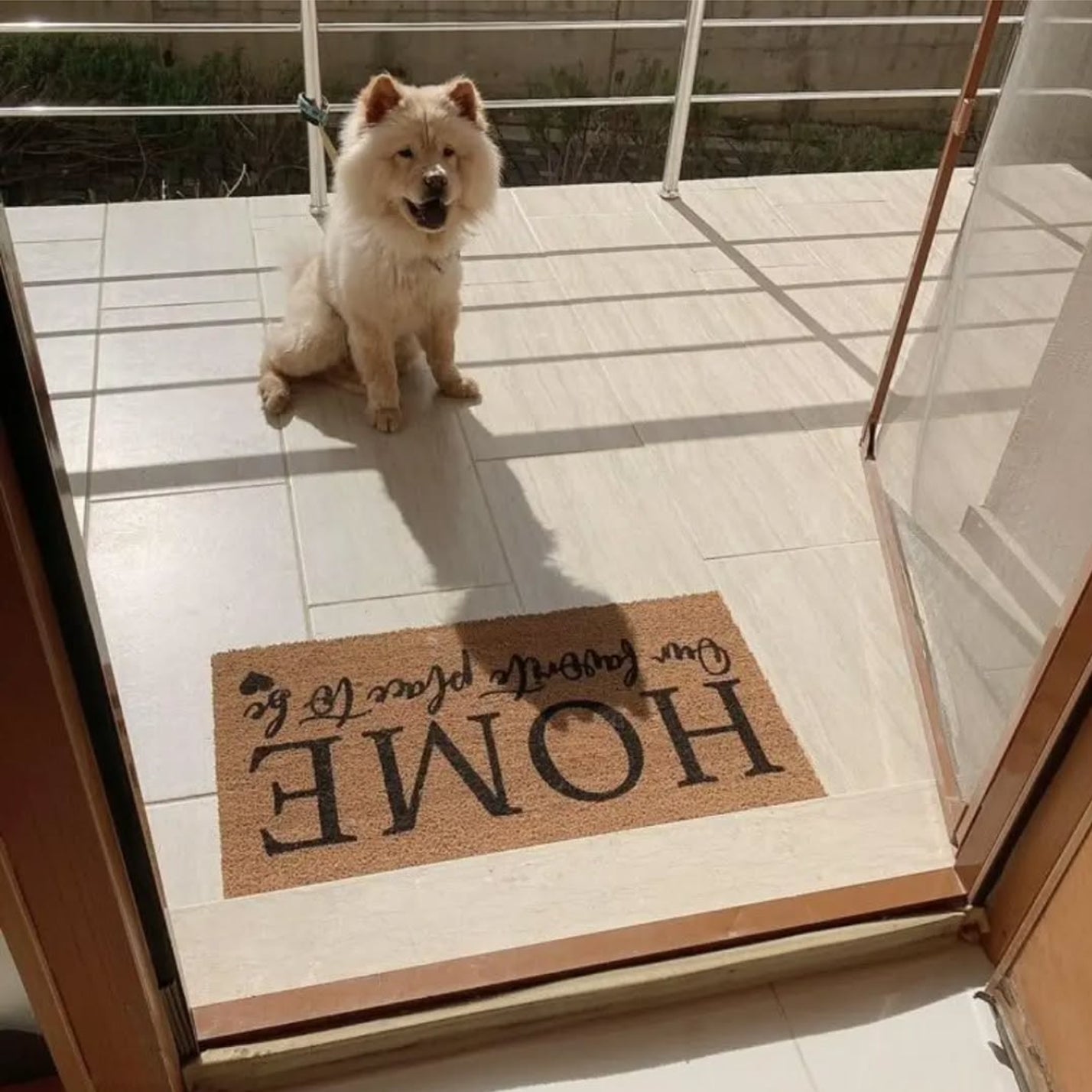 Pet Lovers for Coir Doormats